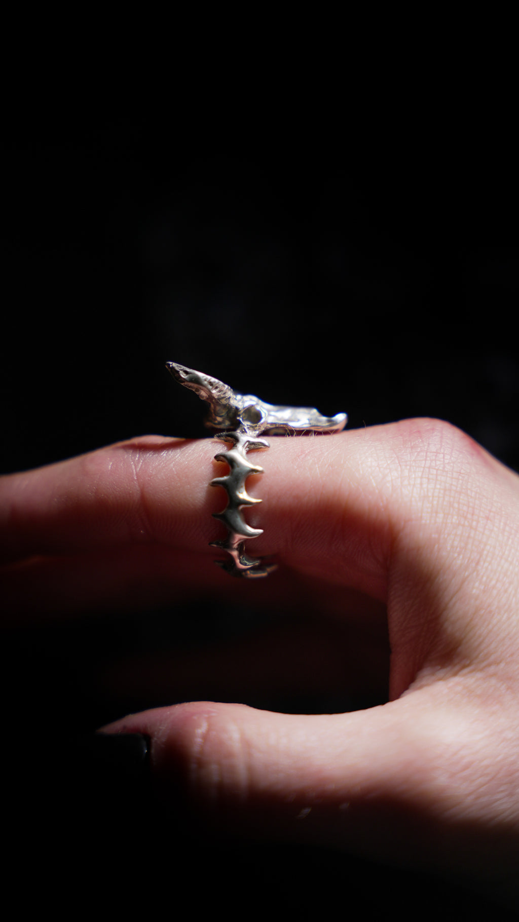 Big Skull Ring