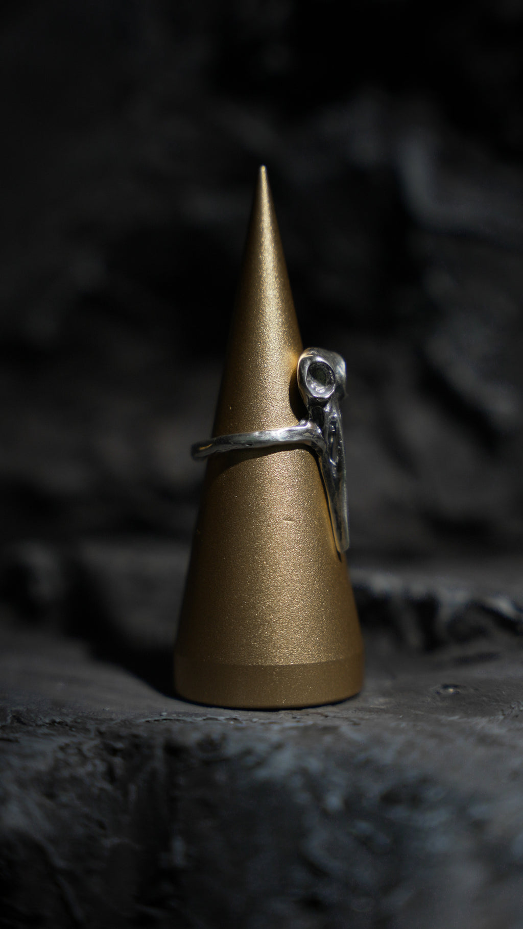 Raven Skull Ring