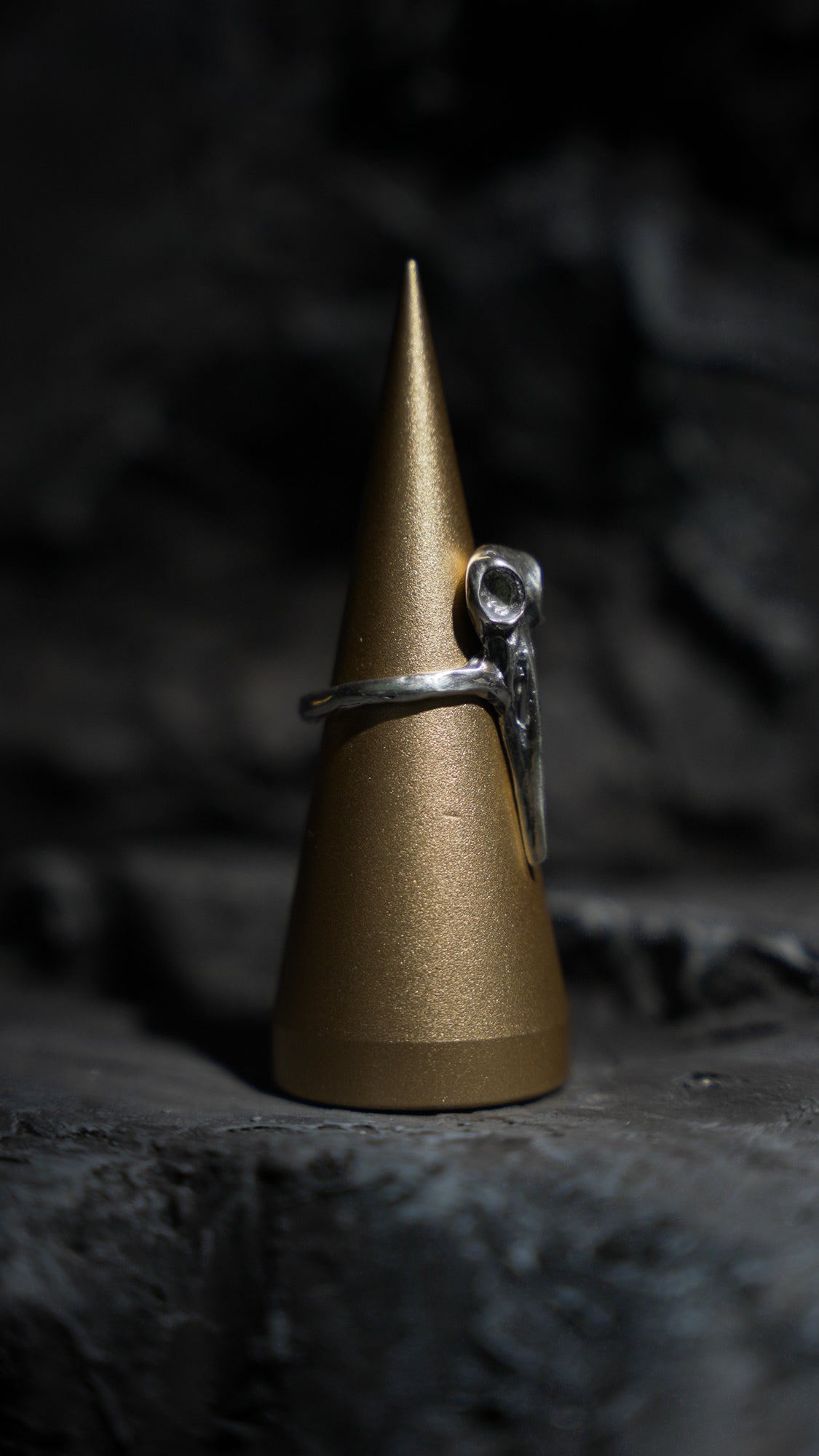 Raven Skull Ring