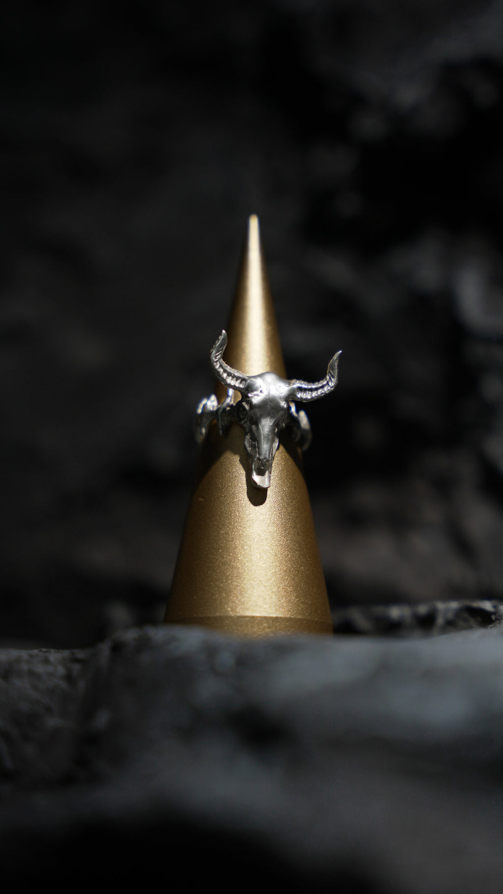 Big Skull Ring