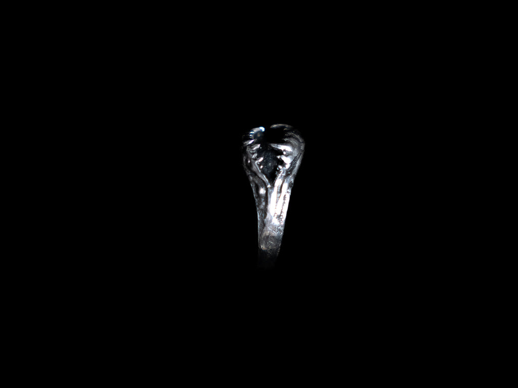 WATCHER RING