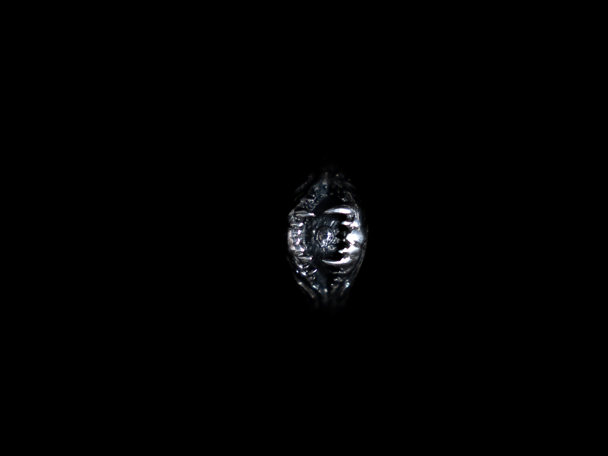 WATCHER RING